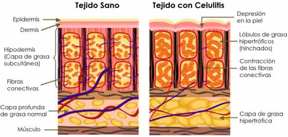 Pagina 7 - blog farmacia - Farmacia 24 horas Palma | Farmacia Balanguera