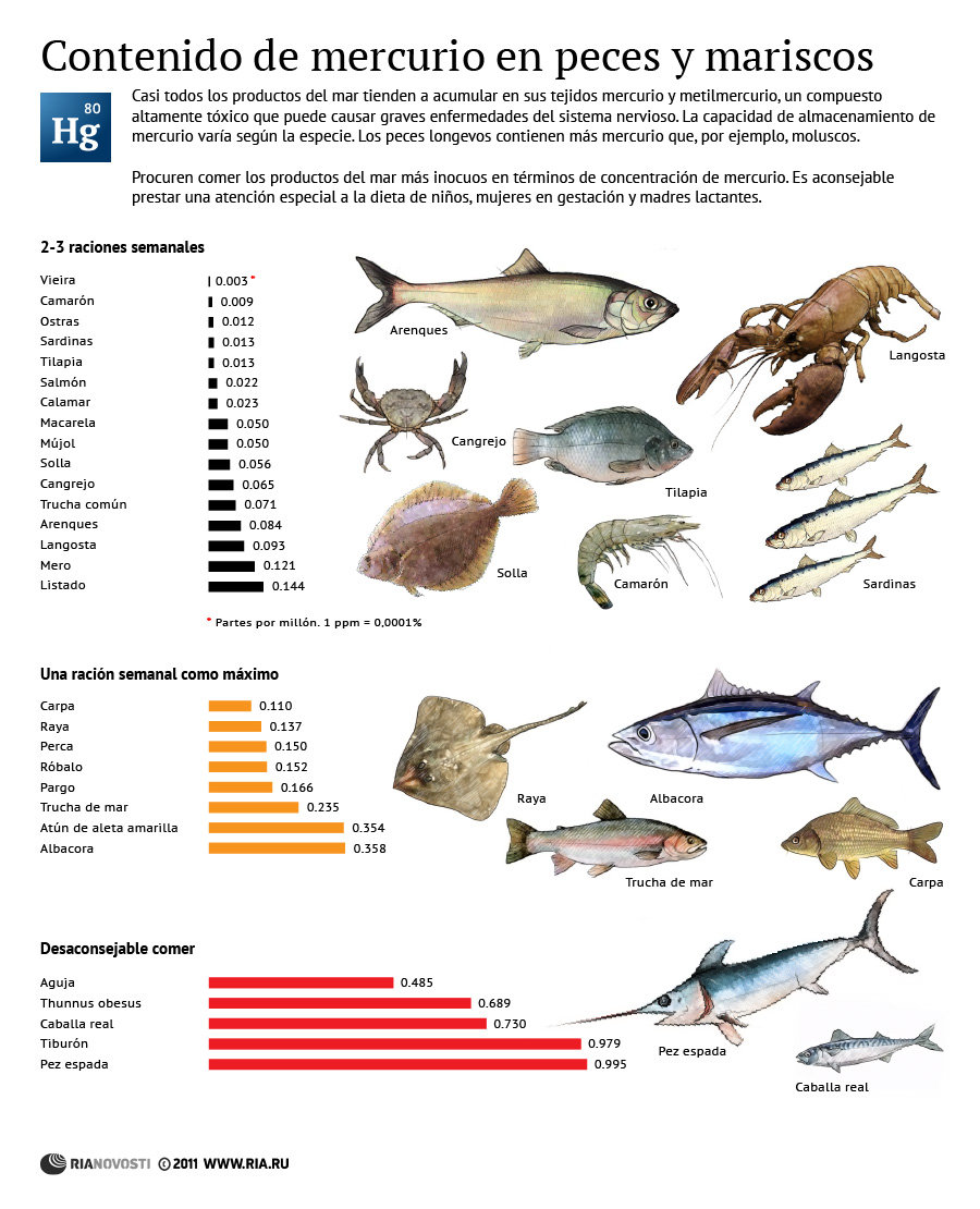 El pescado y los metales pesados - blog farmacia 24h - Farmacia 24 horas Palma | Farmacia Balanguera